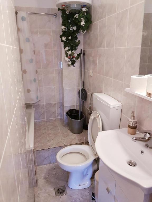 Appartement Anastasia΄S Studio Near The Sea à Alexandroúpoli Extérieur photo